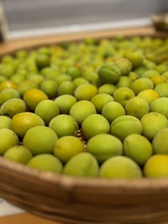 IMG_4562.jpeg