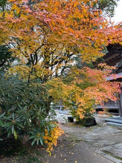 IMG_6538.jpeg