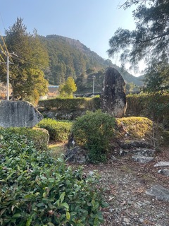 IMG_7791.jpeg